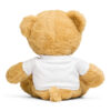 teddy bear with a t-shirt
