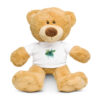 teddy bear with a t-shirt